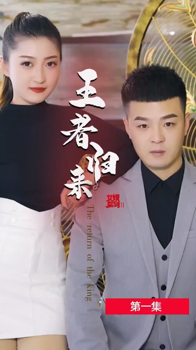 女婿驾到2王者归来第15集