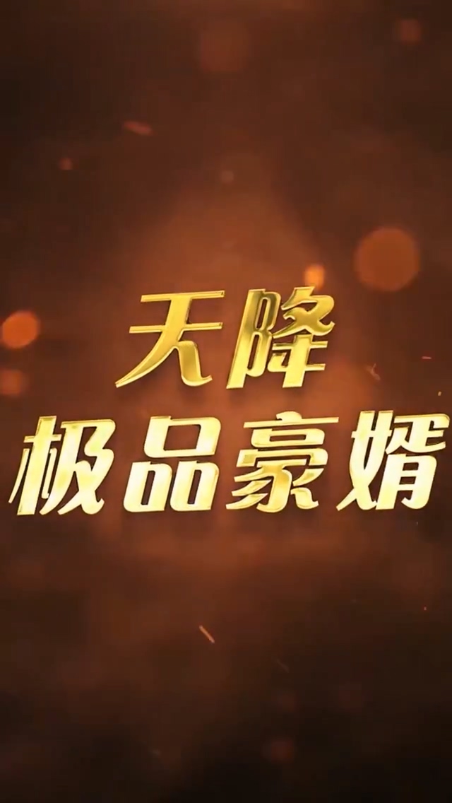 天降极品豪婿第168集