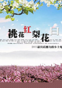 桃花红梨花白
