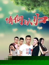 情何以归