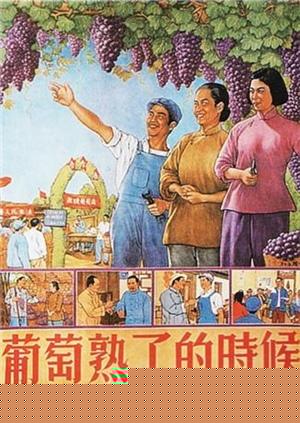 葡萄熟了的时候