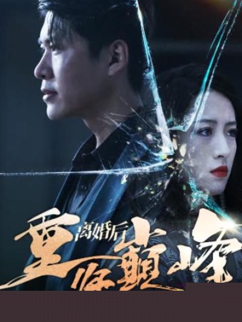 离婚后重回人生巅峰(全集)
