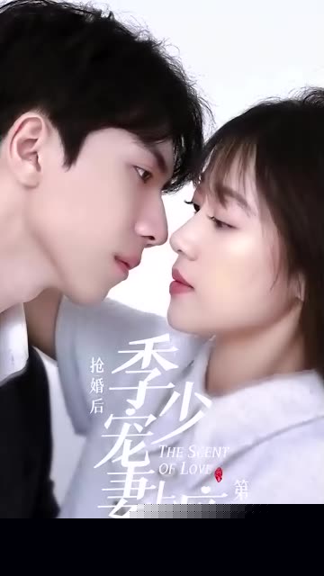 抢婚后，季少宠妻上瘾(全集)