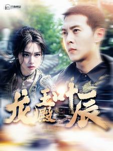 龙王殿叶辰全集(大结局)