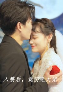 入赘后，我仍是大佬全集(大结局)