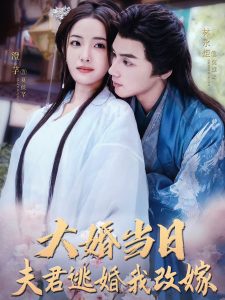 大婚当日夫君逃婚我改嫁全集(大结局)