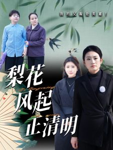 梨花风起正清全集(大结局)