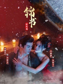 锦书谋权录全集(大结局)