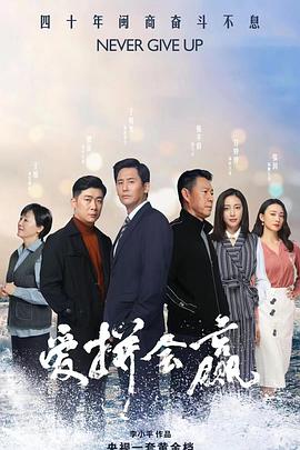 爱拼会赢第19集