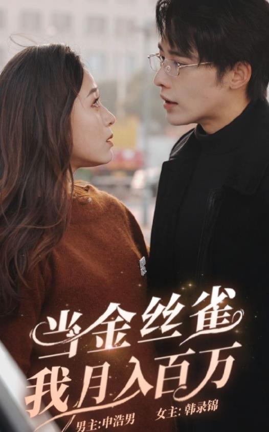 当金丝雀月我入百万第14集